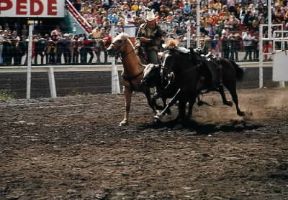 America. Momento di un rodeo.De Agostini Picture Library/F. Bernini