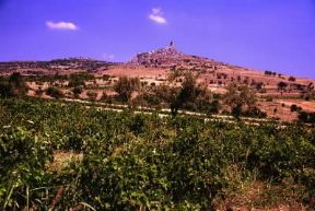 Beozia. La valle delle Muse nei pressi di Tebe.De Agostini Picture Library/G. Dagli Orti