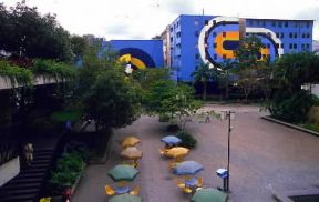 Caracas. Un viale alberato del centro.De Agostini Picture Library/C. Novara