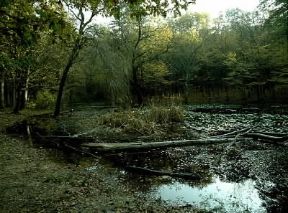 Dolina . Esempio di dolina, elemento tipico del paesaggio carsico, che ospita un laghetto temporaneo.De Agostini Picture Library/M. Pedone