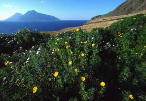 Lipari. Un tratto della costa presso punta Palmeto.De Agostini Picture Library/G. Roli