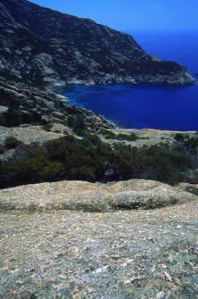 Montecristo. Veduta della cala S. Maria del Belvedere.De Agostini Picture Library / G. Roli