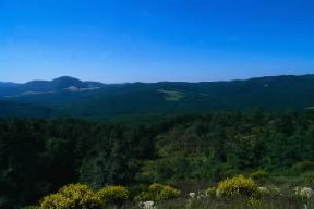 Antiappennino. Le Colline Metallifere presso Larderello (Pisa).De Agostini Picture Library/S. Vannini