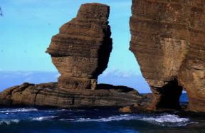 Costa rocciosa della Nuova Caledonia.De Agostini Picture Library / C. Rives