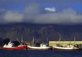 Islanda . Pescherecci a HÃ¶fn, sulla costa sud-orientale.De Agostini Picture Library/N. Cirani