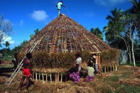 Nuova Caledonia . Costruzione di una capanna nell'isola di Lifou, nel gruppo delle isole della LealtÃ .De Agostini Picture Library/C. Rives