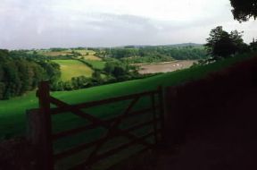 Devon (contea) . Paesaggio con il fiume Dart nei pressi dell'estuario.De Agostini Picture Library/G. Wright