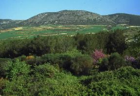 Grecia. Veduta dei dintorni di Volo, in Tessaglia.De Agostini Picture Library / G. Dagli Orti
