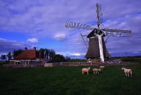 Isole Frisone. Mulino a vento nella zona di Bolsward.De Agostini Picture Library/A. Vergani
