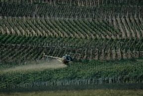 Aeroirrorazione. Elicottero utilizzato per la solfatura di vigneti.De Agostini Picture Library/A. Vergani
