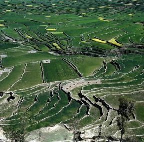 Nepal. Veduta delle risaie nella valle di Katmandu.De Agostini Picture Library / N. Cirani