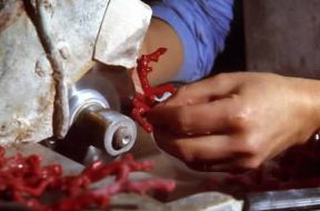 Corallo. Taglio dei rami di corallo in un laboratorio artigianale.De Agostini Picture Library / A. Vergani