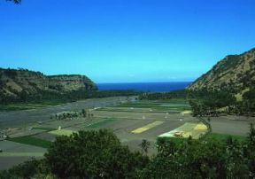 Indonesia . Campi coltivati nell'isola di Bali.De Agostini Picture Library/M. Bertinetti