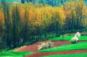 Castiglia-LeÃ³n. Veduta di campi coltivati.De Agostini Picture Library/G. SioÃ«n