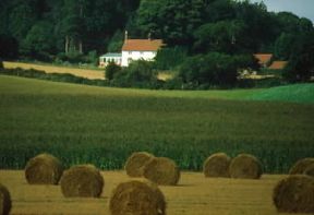 Inghilterra . Residenza di campagna del Sussex.De Agostini Picture Library/A. Vergani
