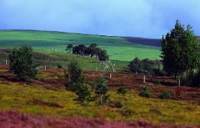 Scozia. Gli Highlands.De Agostini Picture Library / G. Roli