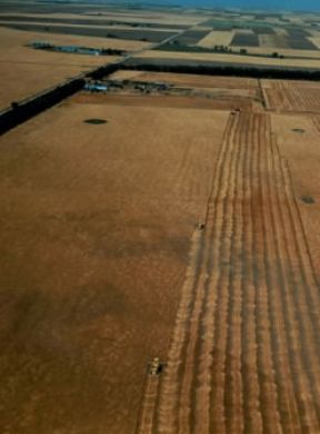 Agricoltura. Raccolta del grano con l'ausilio di mezzi meccanici nel Nebraska (U.S.A.).De Agostini Picture Library/Pubbliaerfoto