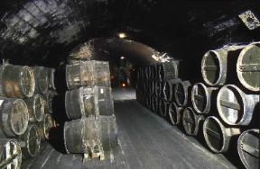 Cognac. Botti di cognac in una cantina di produzione a Poitou-Charente.De Agostini Picture Library/G. SioÃ«n
