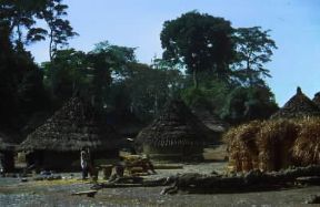 Costa d'Avorio. Capanne di un villaggio nei pressi di Touba. De Agostini Picture Library / C. Sappa