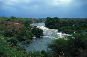 Uganda. Veduta del Nilo Vittoria.De Agostini Picture Library/M. Bertinetti