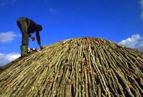 Calabria. Produzione del carbone di legna a Serra San Bruno, in provincia di Cosenza.De Agostini Picture Library/A. Vergani