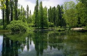 Fonti del Clitunno. Il laghetto da cui ha origine il fiume omonimo.De Agostini Picture Library/M. Leigheb