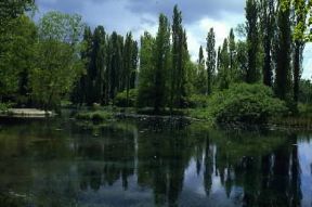 Umbria. Le fonti del Clitunno nel Perugino, una delle aree piÃ¹ densamente abitate della regione.De Agostini Picture Library/M. Leigheb