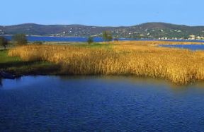 Umbria. Il lago di Trasimeno (Perugia).De Agostini Picture Library/G. Cappelli