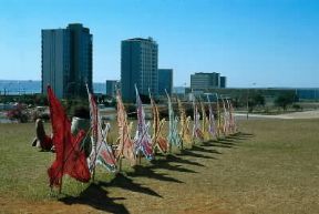 Aquilone. Aquiloni brasiliani.De Agostini Picture Library