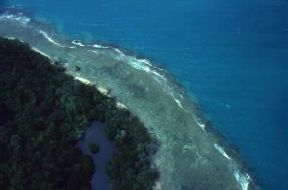 Sumatra. Un tratto della costa meridionale.De Agostini Picture Library/C. Bertinetti