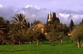 Cipro. La moschea di LÃ¡rnaca.De Agostini Picture Library/G. SioÃ«n