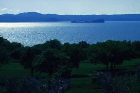 Lago di Bolsena . Veduta panoramica.De Agostini Picture Library/S. Vannini