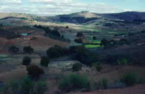Repubblica democratica di Madagascar. Paesaggio a sud di Tana.De Agostini Picture Library/A. Tessore