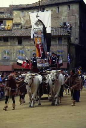 Toscana. Il corteo storico del Palio di Siena.De Agostini Picture Library/G. Roli