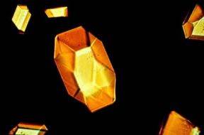 Vitamina. Cristalli di vitamina A.Roche