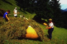 Fienagione in Val di Fassa (Trento).De Agostini Picture Library/A. Vergani