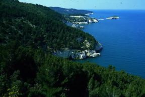 Gargano. Veduta delle coste rocciose del promontorio pugliese.De Agostini Picture Library/M. Leigheb