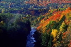 Vermont. Veduta di un bosco; il legno rappresenta una risorsa economica per lo Stato federato statunitense.De Agostini Picture Library/G. SioÃ«n