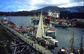 Groenlandia. Il porto di Nuuk.De Agostini Picture Library / D. Staquet