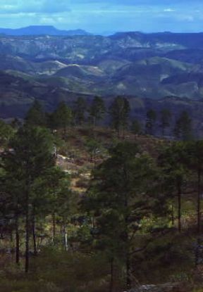 Honduras. Veduta delle MontaÃ±as de Comayagua.De Agostini Picture Library / G. SioÃ«n