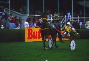 Ippica . Fase di una gara di corsa al trotto.De Agostini Picture Library/G. Wright