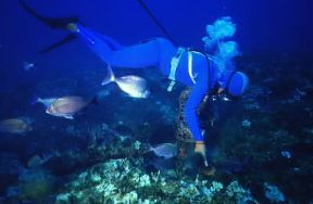 Subacqueo ripreso durante la pesca delle spugne.De Agostini Picture Library/C. Rives