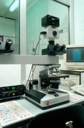 Biologia. Lettura di vetrini istologici al microscopio ottico.De Agostini Picture Library/G.Cigolini