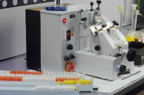 Istologia . Microtomo per il taglio dei tessuti inclusi in paraffina. De Agostini Picture Library/G. Cigolini