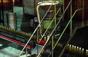 Oleario . Catena di imbottigliamento in un oleificio toscano.De Agostini Picture Library/G. Roli