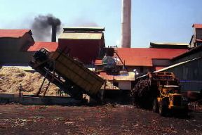 PanamÃ¡ . Un'industria per la lavorazione della canna da zucchero.De Agostini Picture Library/G. SioÃ«n