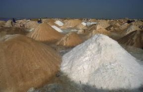 Sale. Raccolta nei pressi di Dakar, in Senegal.De Agostini Picture Library / S. Vannini