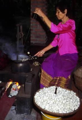 Seta . Dipanatura dei bozzoli in un laboratorio artigiano di Bangkok.De Agostini Picture Library/C. Sappa