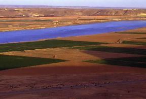 Siria . Coltivazioni lungo il fiume Eufrate.De Agostini Picture Library/C. Sappa