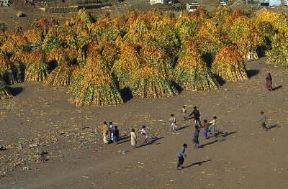 Yemen. Bambini nella periferia di San'a.De Agostini Picture Library/L. Romano